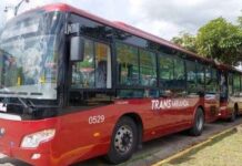 TransMiranda inició servicio de transporte escolar en El Hatillo