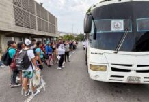 UCV activó rutas de transporte directo hacia La Guaira durante la Semana Santa