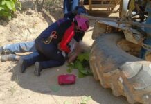 Vuelco de tractor en granja de Tinaquillo dejó un trabajador lesionado