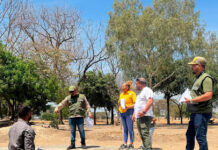 Impulsan recolección de semillas en el Parque Agustín Codazzi