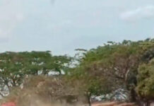 Autoridades dan de baja a 9 secuestradores en Guárico