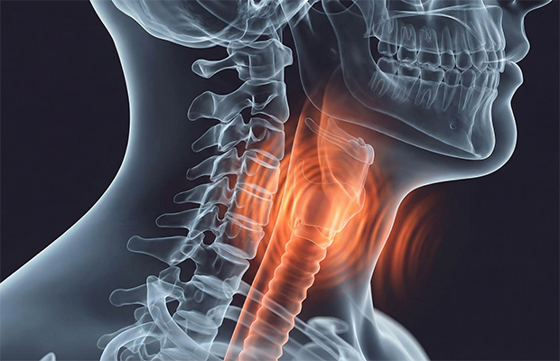 8 claves científicas para cuidar la salud vocal y prevenir enfermedades