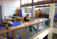 Antiguas prácticas funerarias y el ADN revelan que la familia iba más allá del parentesco