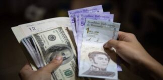 Asesor financiero dice que la dolarización podría estabilizar la economía y reducir la inflación