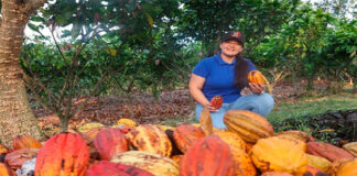 Café y cacao de especialidad impulsan la expansión del sector agrícola en Asia