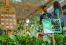 Carabobo produce cinco mil plantas para reforestación con el Plan Chuquisaca 2026