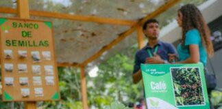 Carabobo produce cinco mil plantas para reforestación con el Plan Chuquisaca 2026
