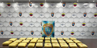 Cicpc incauta más de 14 kilogramos de marihuana tras operativo en Barquisimeto