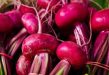 Comer remolacha ayuda a cuidar la salud del corazón