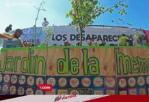 Comité ONU: el alto número de desapariciones en México podría ser crimen de lesa humanidad