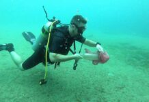 Décima Jornada de Limpieza Subacuática llegará a Bahía de Cata este #18Abr