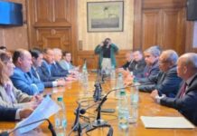 Delegación de la AN gestiona ruta para retorno pleno en el Parlasur