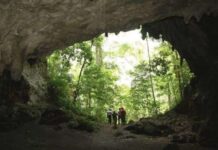 Descubra los misterios de las Cuevas del Toro en Falcón