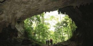 Descubra los misterios de las Cuevas del Toro en Falcón