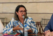 Designada Gabriela Simoza como nueva viceministra de Cultura