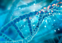 El ADN desvela la compleja historia evolutiva de América y su vasta diversidad genética