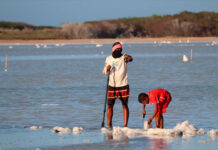 El duro trabajo en la salina Las Cumaraguas se hereda de una generación a otra