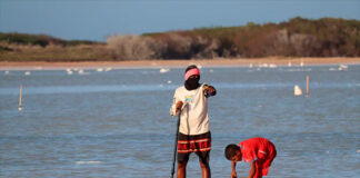 El duro trabajo en la salina Las Cumaraguas se hereda de una generación a otra