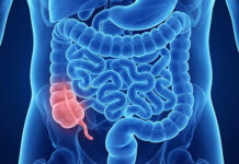 El misterio del apéndice: esta es su función