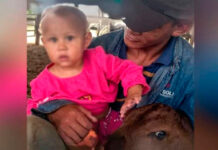 Fallece bebé de año y medio aplastada por una pared en Falcón