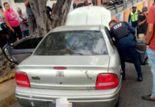 Fallece decano de la Facultad de Arquitectura de la UCV tras choque en Caracas