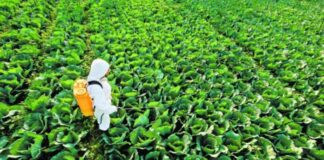 Fedeagro alerta sobre un posible aumento de precios en los fertilizantes por la guerra en Medio Oriente