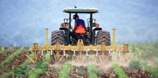 Fedeagro pide atención inmediata de cuatro aspectos claves para mejorar productividad
