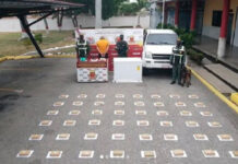 GNB incautó más de 130 kilos de marihuana en PAC de Taborda
