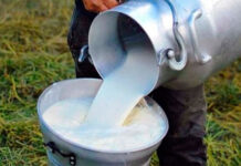 Gobierno y sector lácteo evalúan estrategias para impulsar la producción