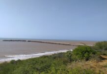 Impulsan recuperación del muelle de Muaco: Buscan conexión comercial entre Falcón y el Caribe holandés