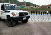 Incautan más de 400 kilos de presunta marihuana ocultos entre hortalizas