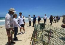 Inspeccionan viveros de tortugas marinas en playas de Nueva Esparta