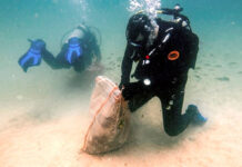 ¡Jornada exitosa! Sacaron más de 120 kilos de basura subacuática en Bahía de Cata