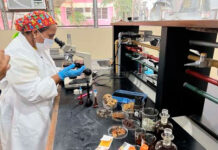 La Unerg produce miel con método ancestral