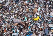 La costa occidental africana, principal origen de microresiduos en el sur del Atlántico