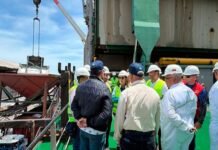 Llegan 13 mil toneladas de urea para fortalecer la producción agrícola nacional