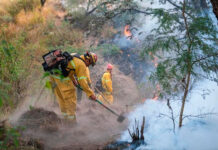 Los incendios calcinan más de 61.776 acres en el sureste de Estados Unidos
