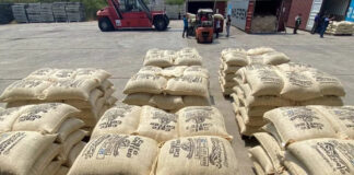 Mérida supera las 4.000 toneladas de café exportadas en lo que va de año