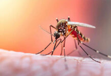 MinSalud registra 21 fallecidos por fiebre amarilla entre 2025-2026