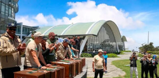 Minec liberó 13 aves de la fauna silvestre