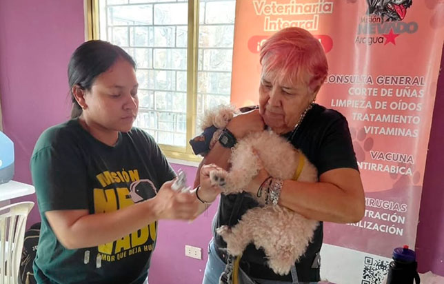 Misión-Nevado-intensifica-despliegue-de-atención-integral-a-mascotas-de-Aragua