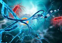 Neuronas impresas se comunican con las células cerebrales vivas