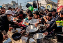 ONU: Cinco millones de personas al borde de crisis alimentaria por guerras en mundo árabe