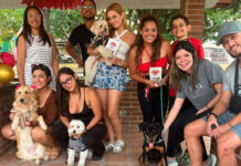 Parque Santos Michelena abre sus espacios para la celebración de eventos y cumpleaños de mascotas