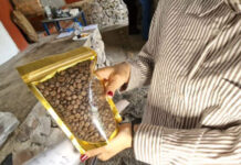 Sector cafetalero proyecta exportaciones en Expoferia Lara es Café 2026