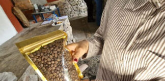 Sector cafetalero proyecta exportaciones en Expoferia Lara es Café 2026