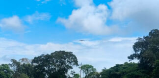 Protección Civil Táchira atiende a familias aisladas en San Judas Tadeo