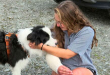 Siete días sola en la selva: la perrita que nunca dejó de esperar