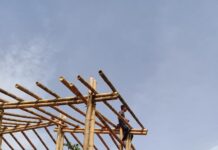 Técnicos venezolanos debaten integración del bambú a la construcción