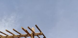Técnicos venezolanos debaten integración del bambú a la construcción